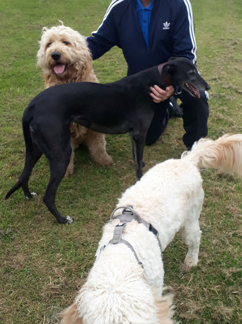 Ron, Gem and Ronnie out and about